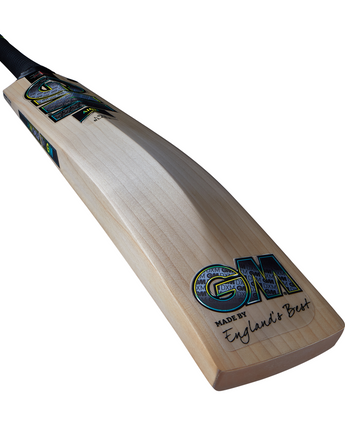 Gunn & Moore Aion Signature Cricket Bat