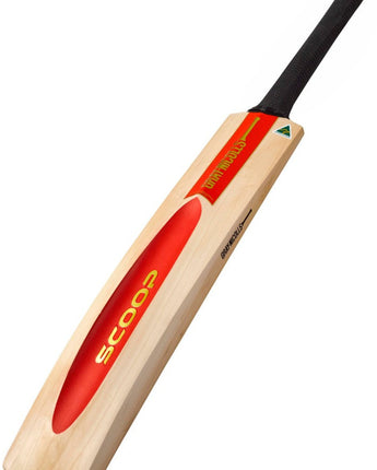 Gray-Nicolls Scoop 50th Anniversay Limited Edition 5 Star Cricket Bat