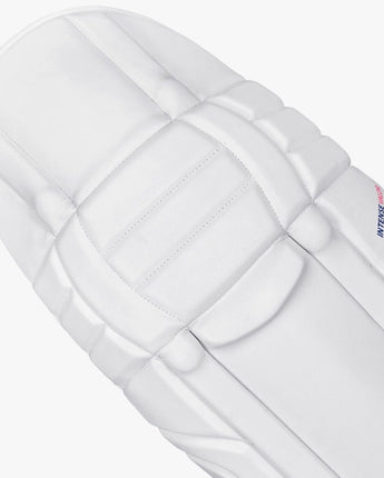 DSC Intense Valor Batting Pads